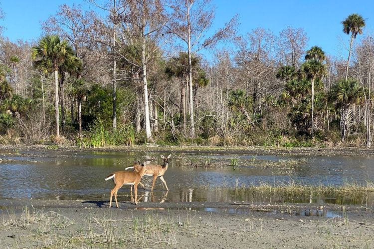 Senate Bill 2508 as Amended