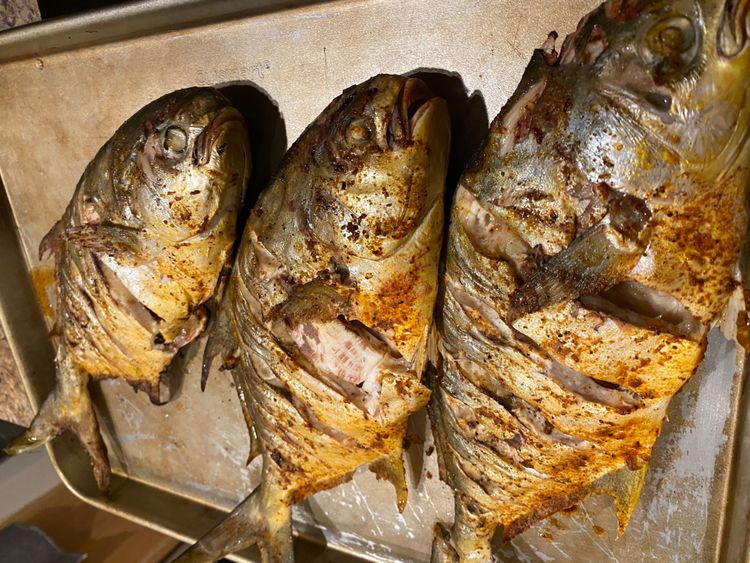 We need to deter Florida pompano poaching