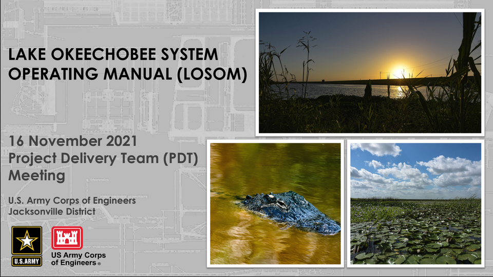 LOSOM Optimized Model