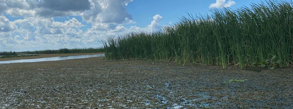 EAA Reservoir Lawsuits