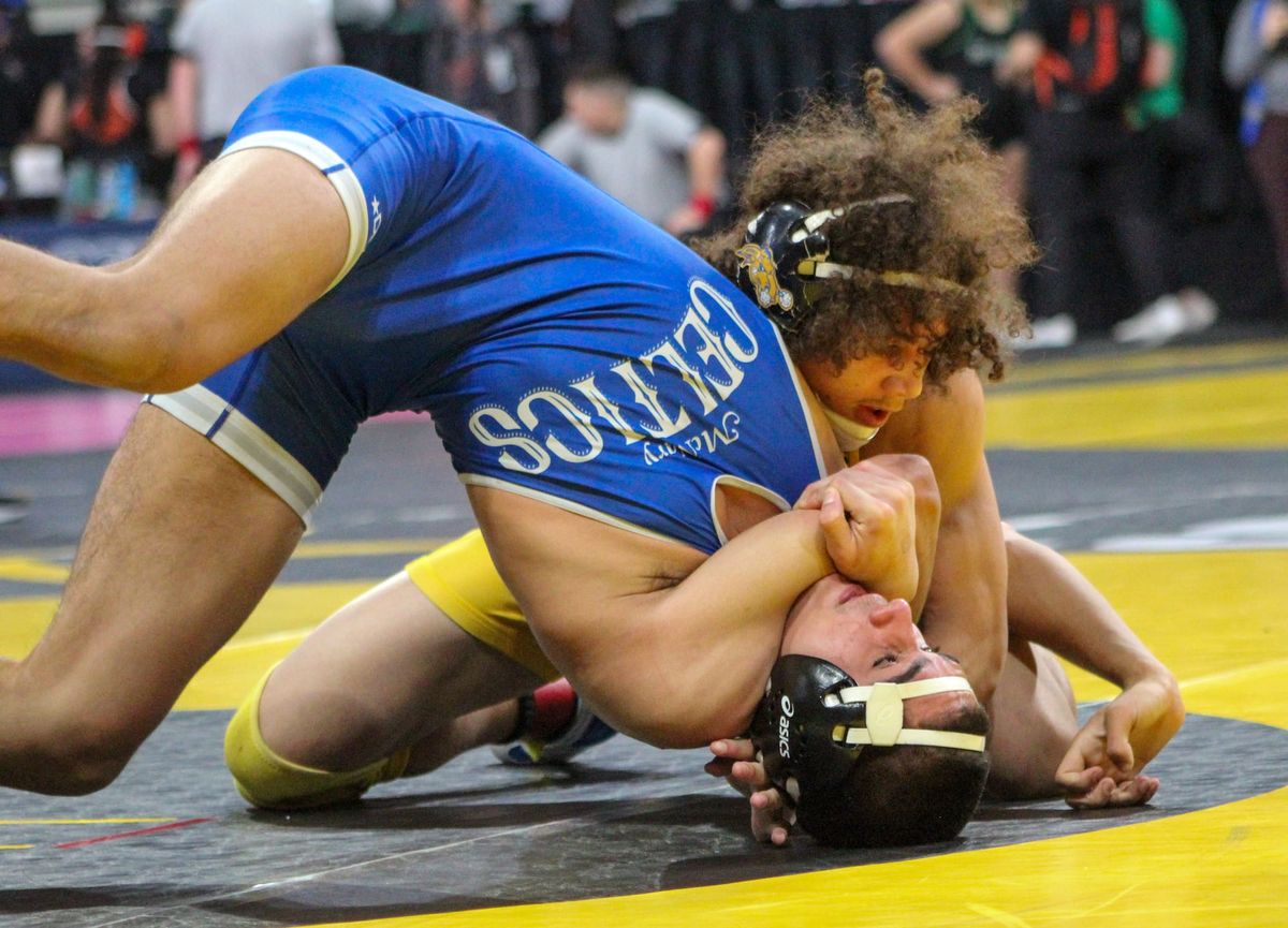 Meet the 14 local wrestlers set to compete in state quarter and semifinals