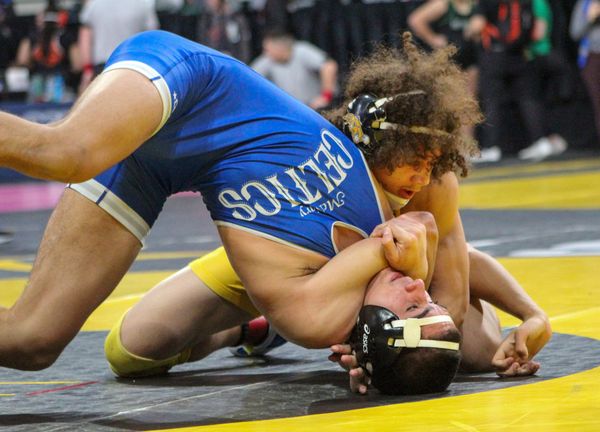 Meet the 14 local wrestlers set to compete in state quarter and semifinals