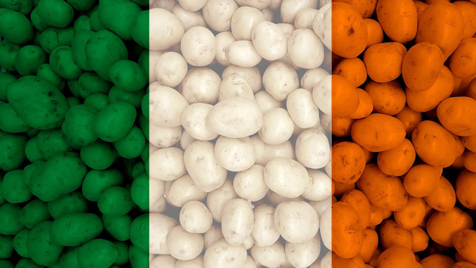 Welcome to my Food Publication…Food is an Alien Concept to me (but I do Own an Instant Pot)