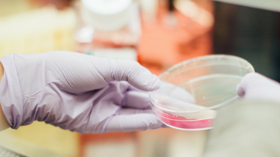 How Paywalls Harm Cancer Patients