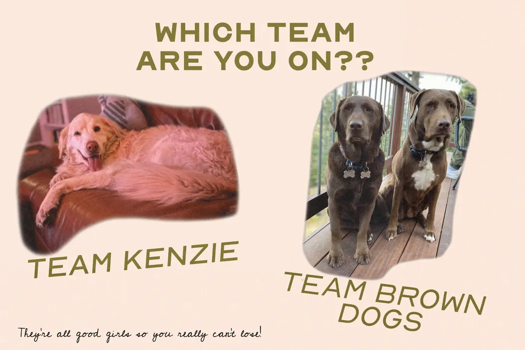 Wedding Day Shuttle Assignments & Departure Times