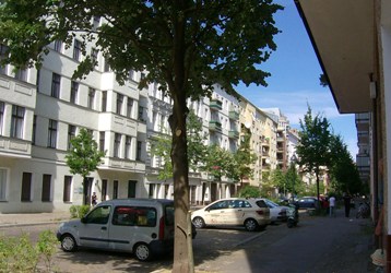Baumpflege_2013-250