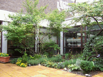 Lesegarten_Leni-250