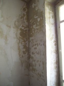 nasseWand_Stfl_250