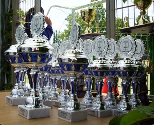pokale-250