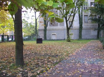 Turm91-herbst-250
