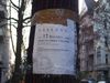 Baumfällungen in der Dortmunder Straße
