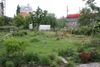 Gemeinschaftsgarten Moabeet