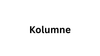 Workshop Kolumne