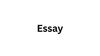 Workshop Essay