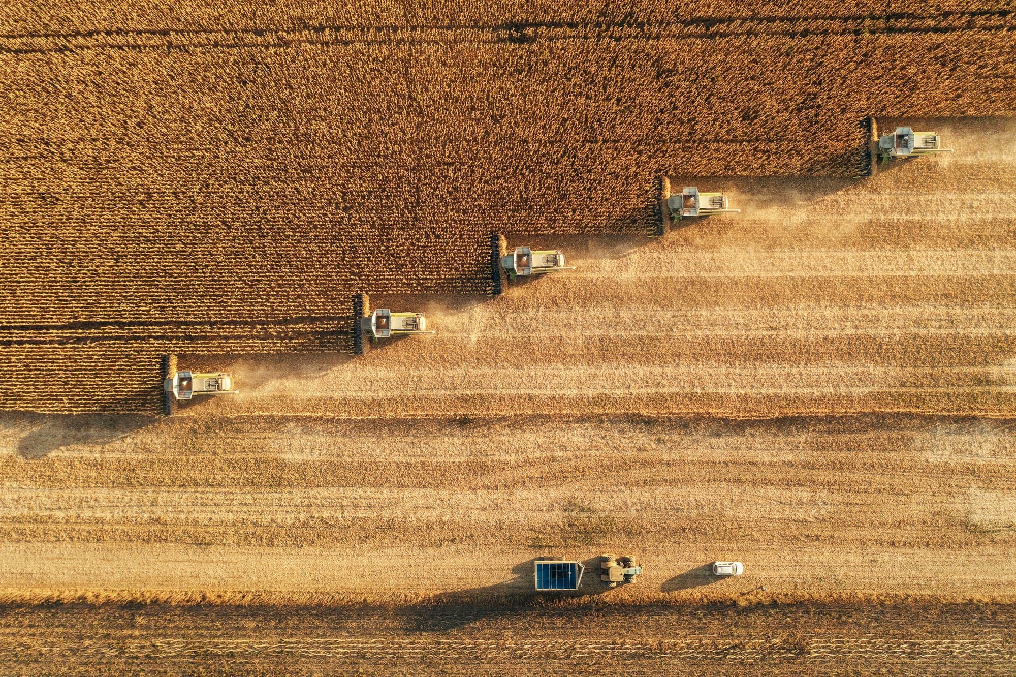 The 90-Day Countdown: How a Closed Energy Artery Becomes a Global Food Security Crisis