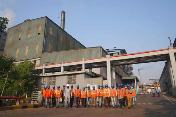 India's Zero-Duty Window Closes in Three Weeks