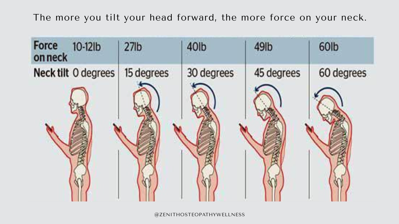 Visual showing how neck pressure increases when we tilt our heads forward