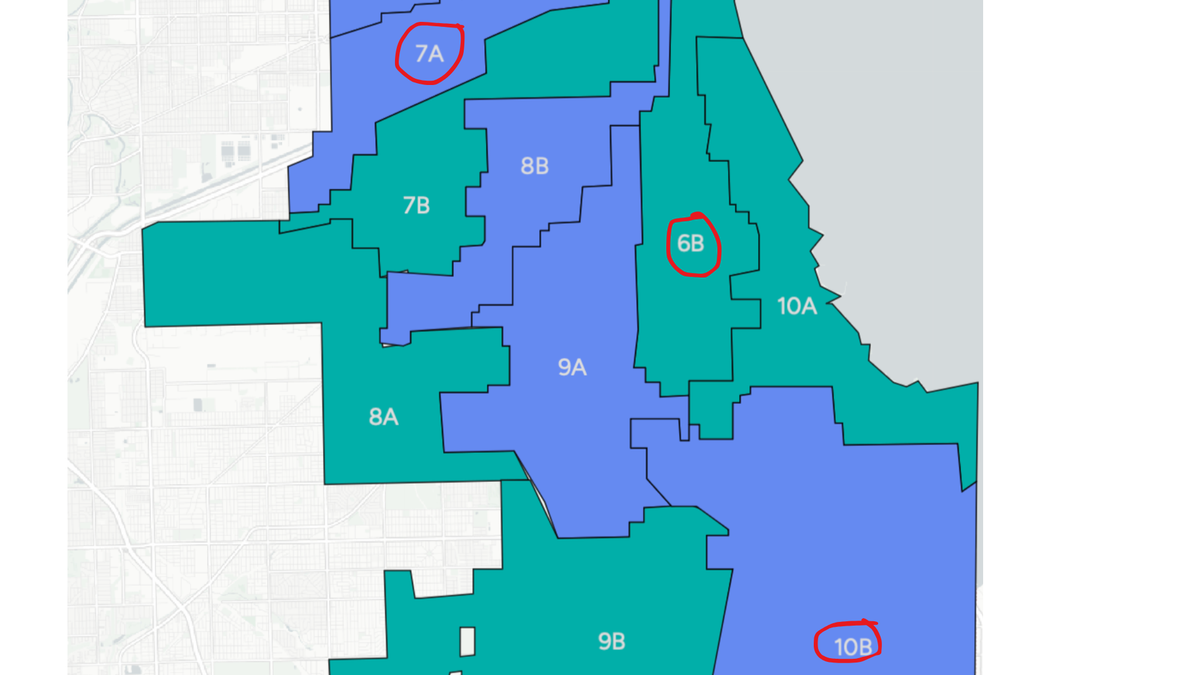 The South Side's Hottest Chicago School Board Races