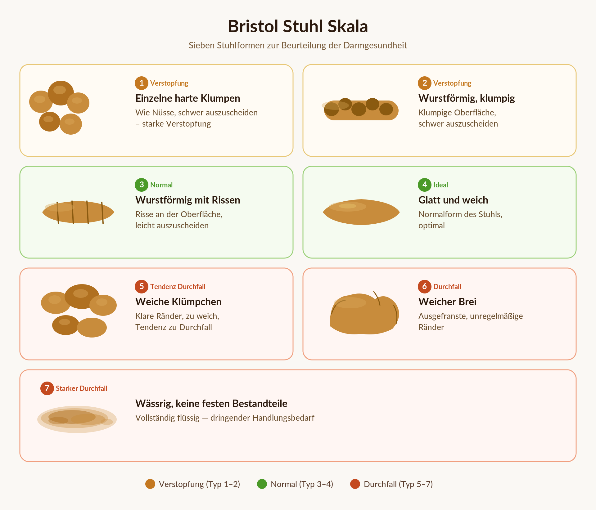 Bristol-Stuhlformen-Skala Typ 1 bis 7: Infografik für Morbus Crohn und Colitis ulcerosa