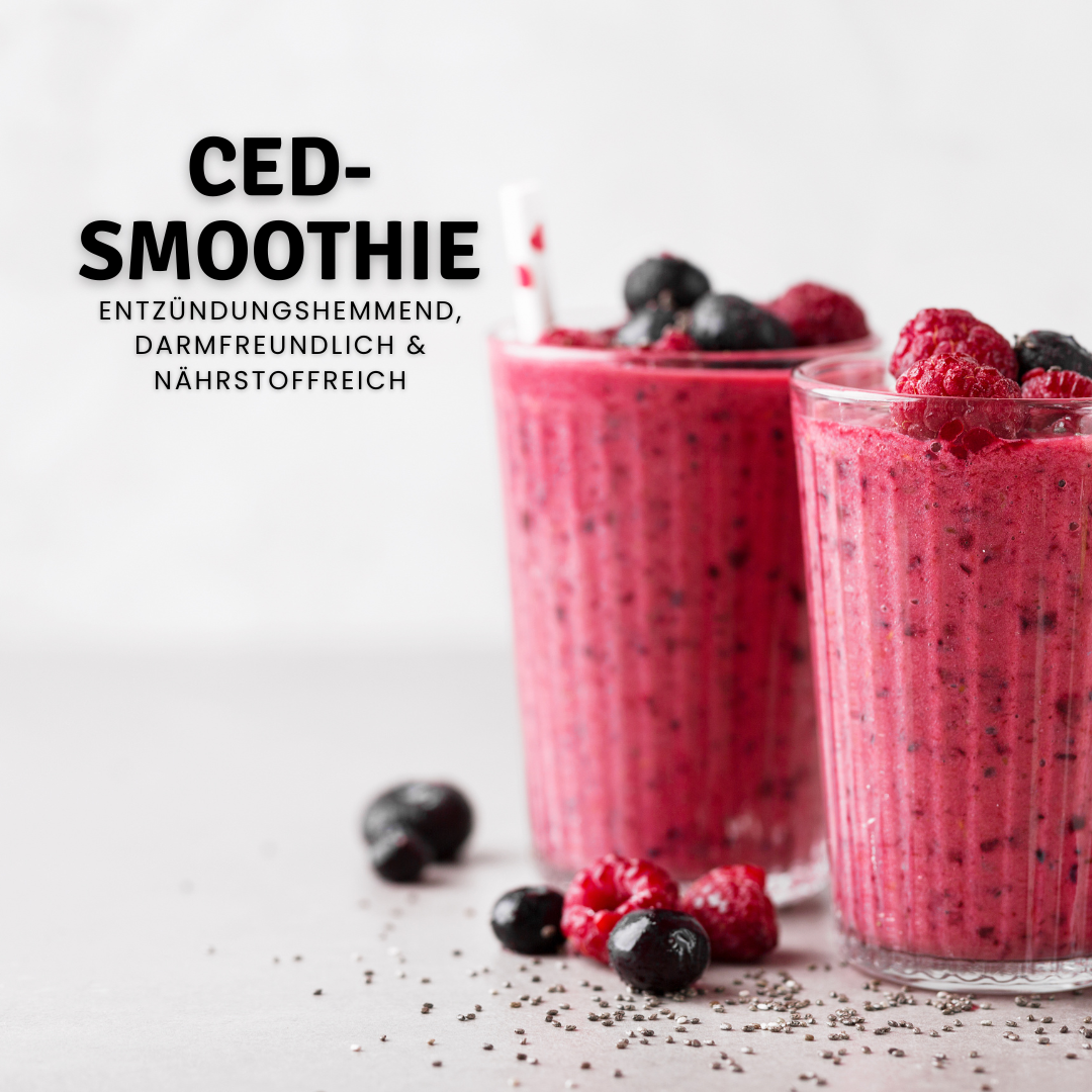CED-freundlicher Smoothie für sensible Tage, individuell anpassbar mit frischen Beeren, Chiasamen, Joghurt und Weizenkleie