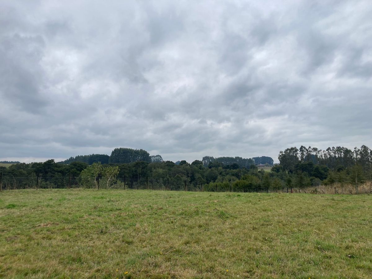 Parcela Vista al bosque | Quebrada Honda