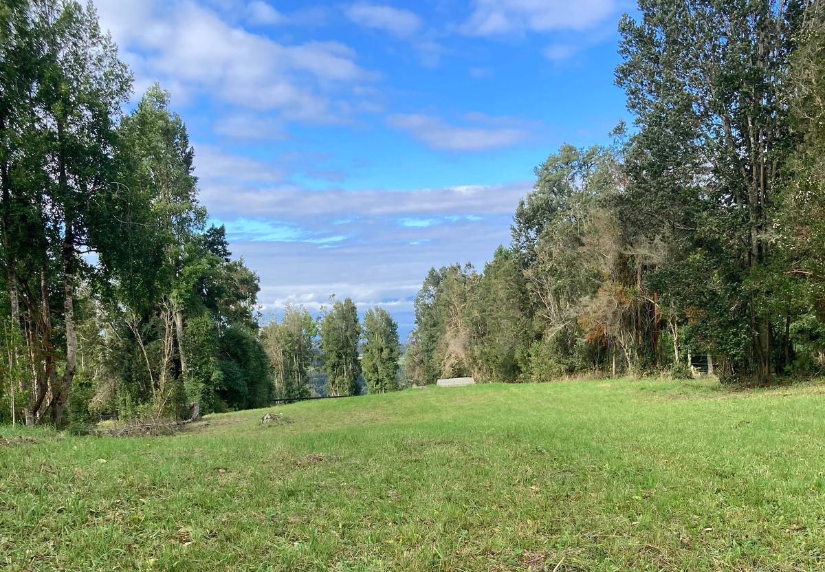 Pradera Soñada | Los Bajos