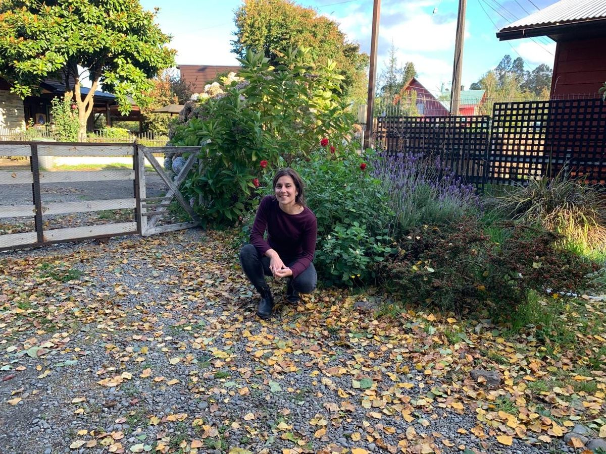 Adiós EEUU, Hola Frutillar.