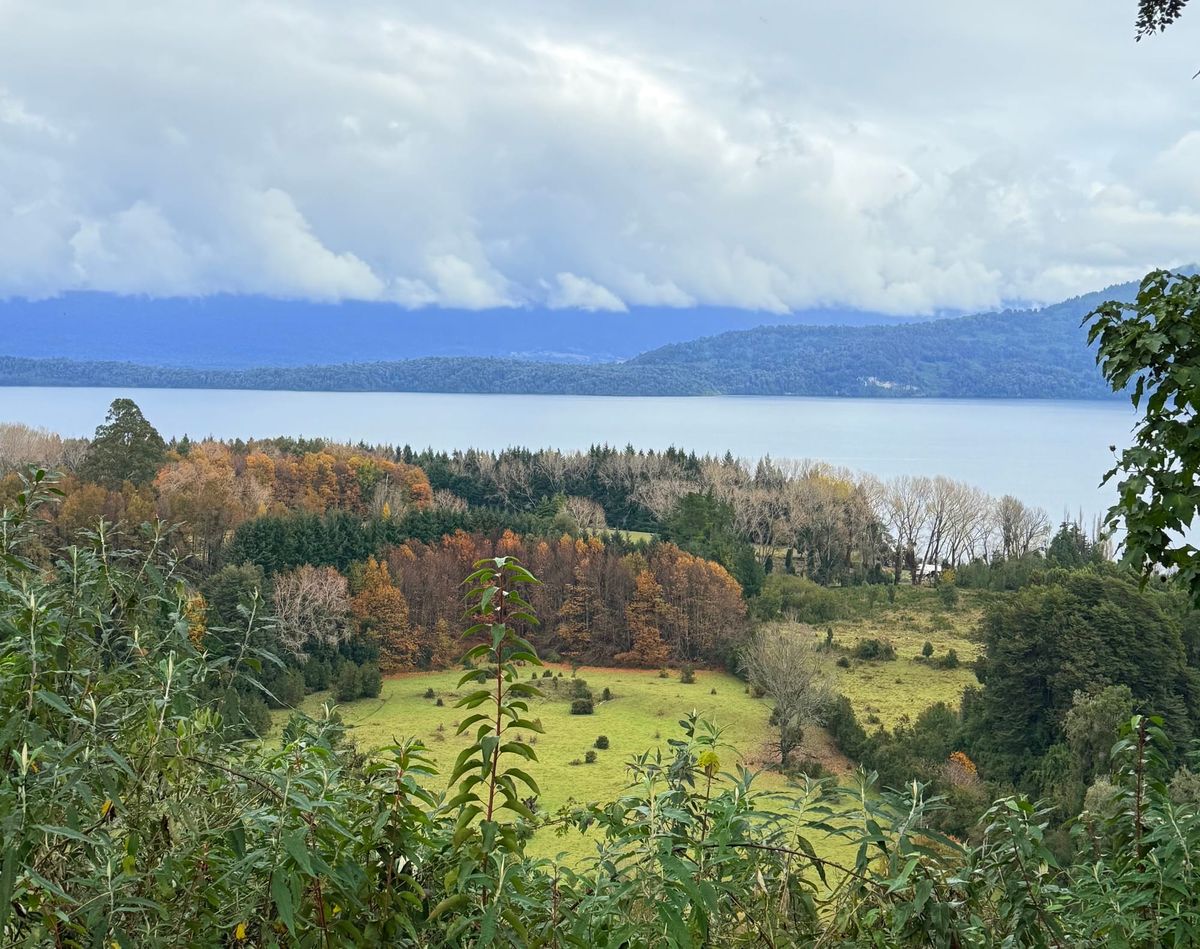Terreno El Encanto | Lago Rupanco