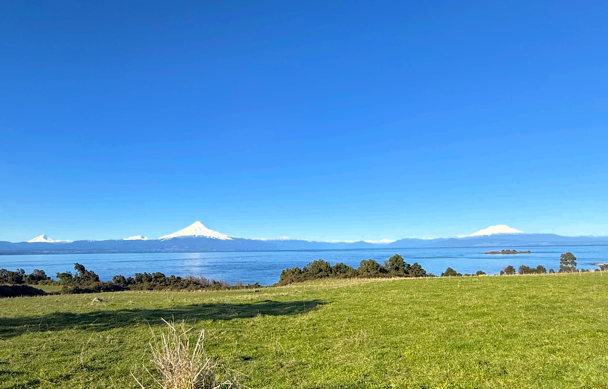 Parcela Siempre Lago | Los Bajos