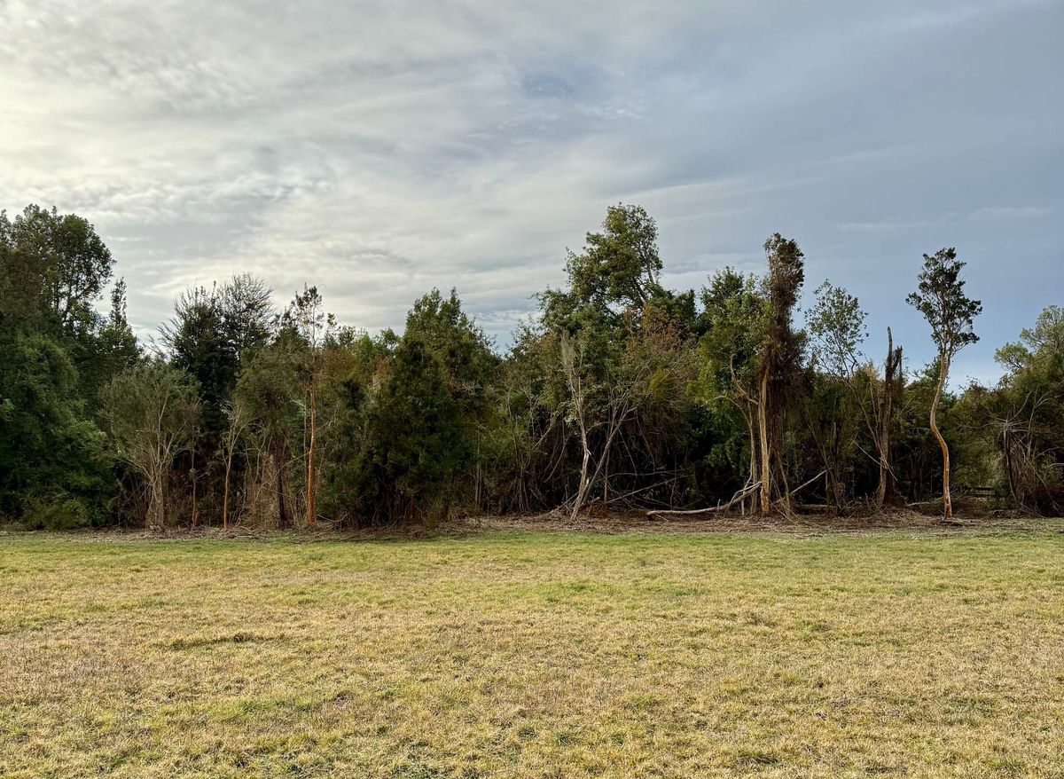 Parcela Silvestre | Frutillar alto