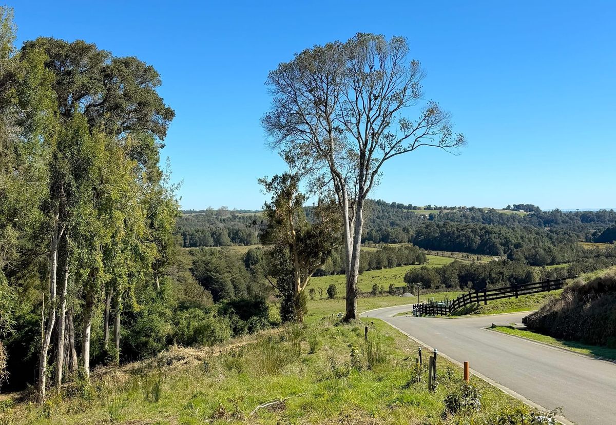 Parcela las Lomas | Puerto Varas