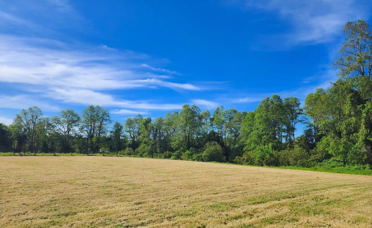 Parcela del Prado | Frutillar