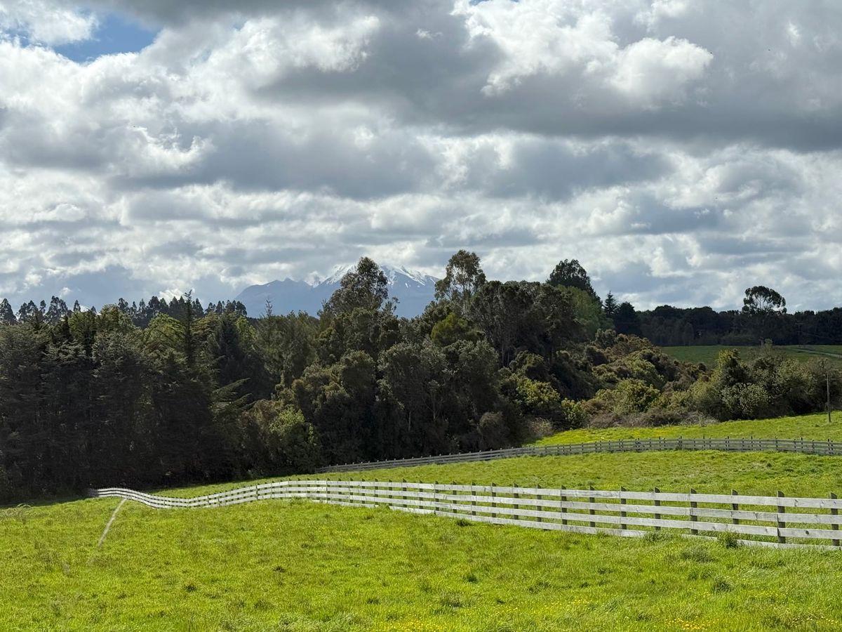 Parcela Mirador | Puerto Varas