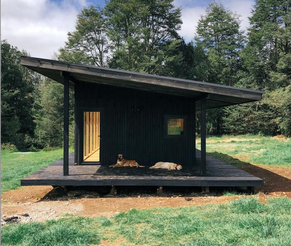 Tiny Braunau | Un acuario natural