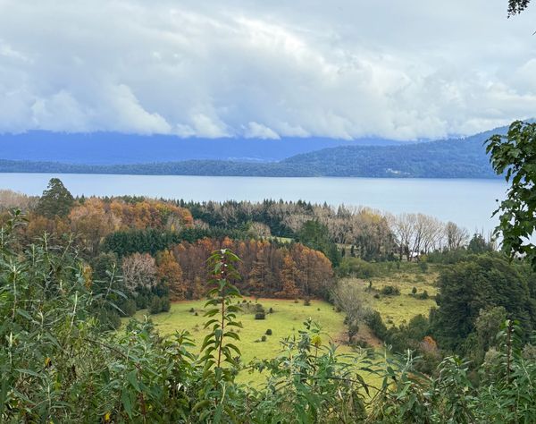 Terreno El Encanto | Lago Rupanco