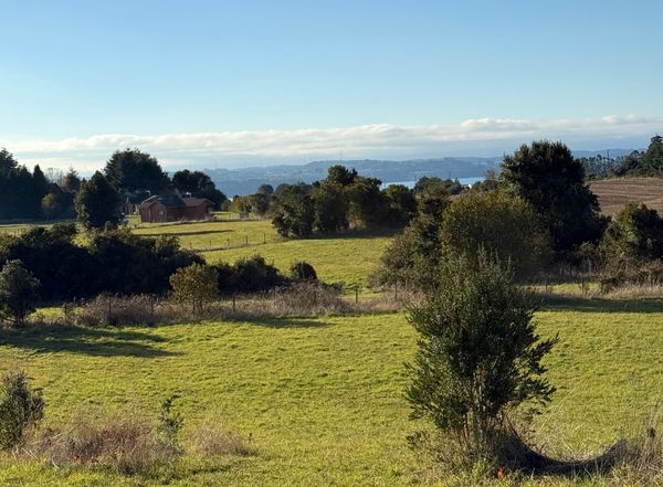 Parcela Armonía | Punta Larga