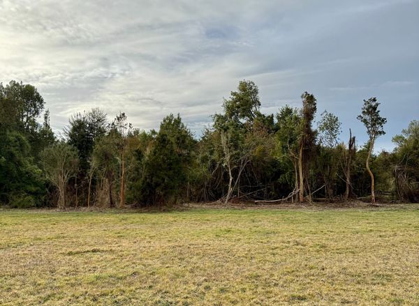 Parcela Silvestre | Frutillar alto