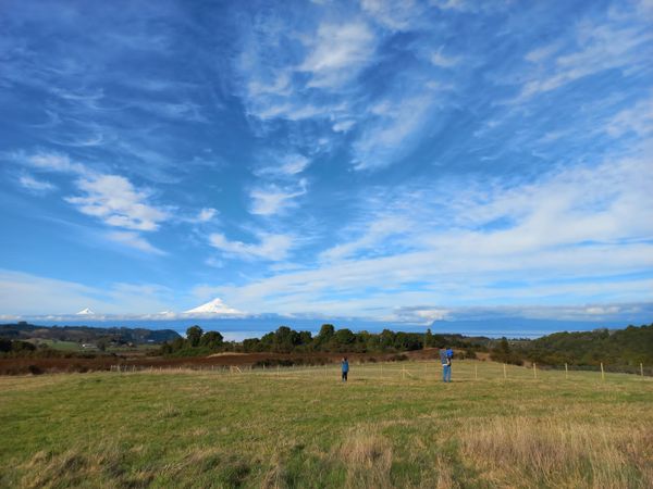 ¿Buscando terreno en el sur? Esto es lo que tienes que saber