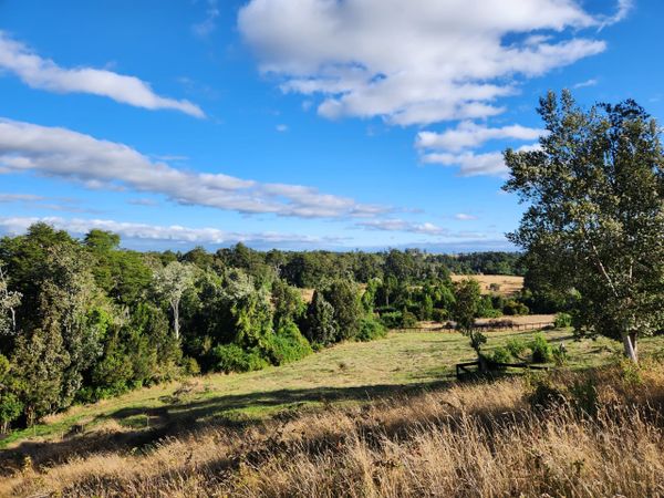 Parcela el Estero | Loncotoro
