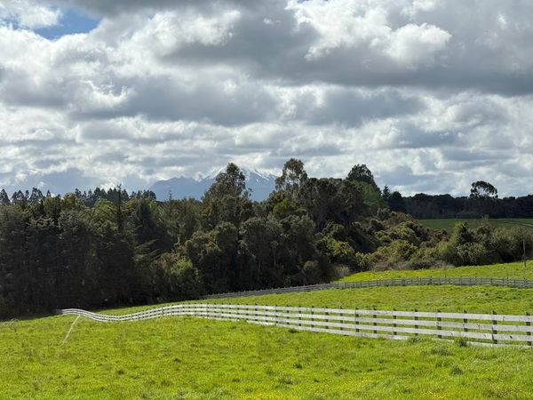 Parcela Mirador | Puerto Varas