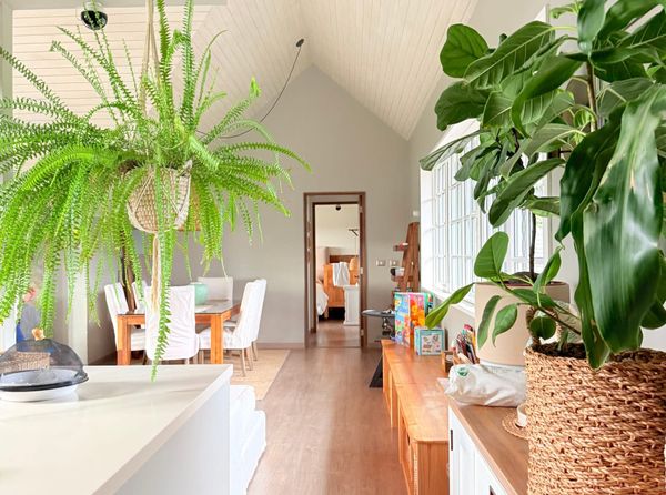 Piso Bello Sur | Patagonia Virgin