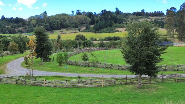 Parcela Nativa | Quebrada Honda