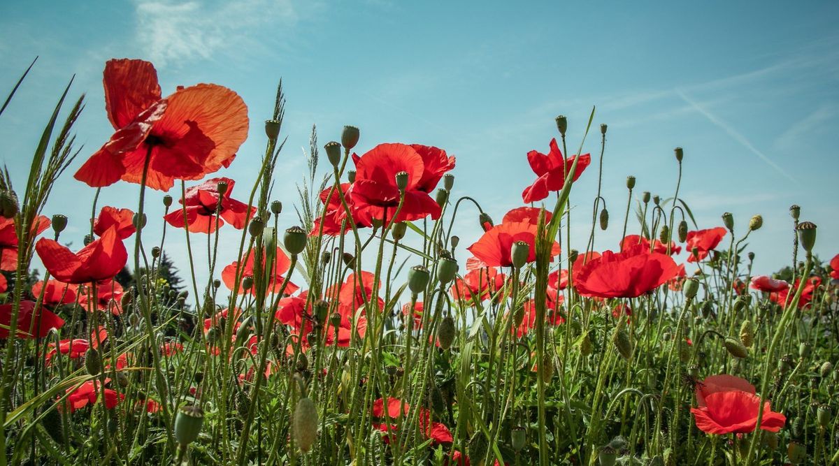 ...and so Begins the adventure.