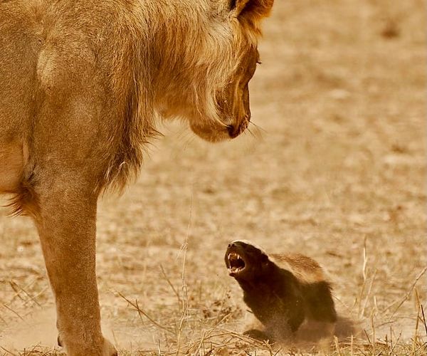 2026 security predictions