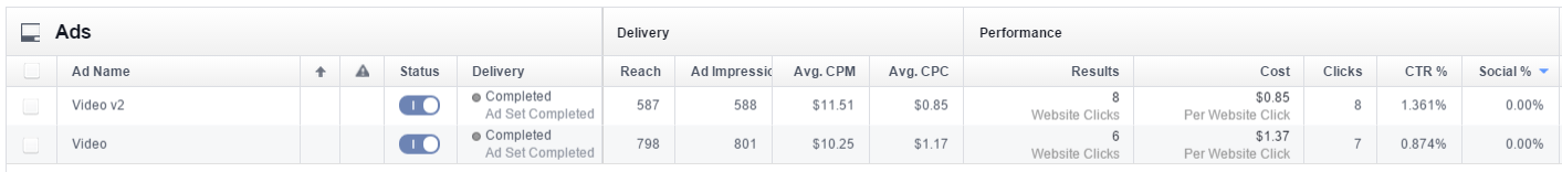 1VideoSocialMediaAds