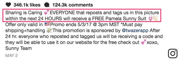 SocialInsight io - How Sunny Co Clothing Gained 750,000 Instagram Followers in 24 Hours - Google Docs (4)