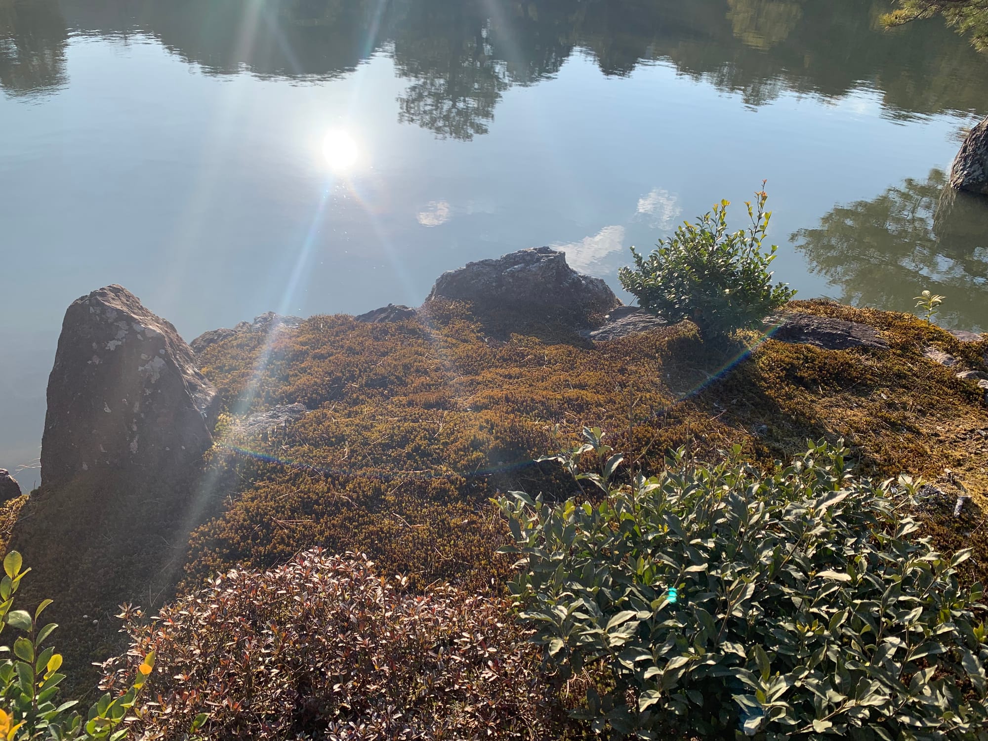 Zenarchism I Zenarkisme