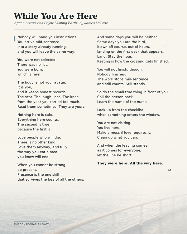 While You Are Here