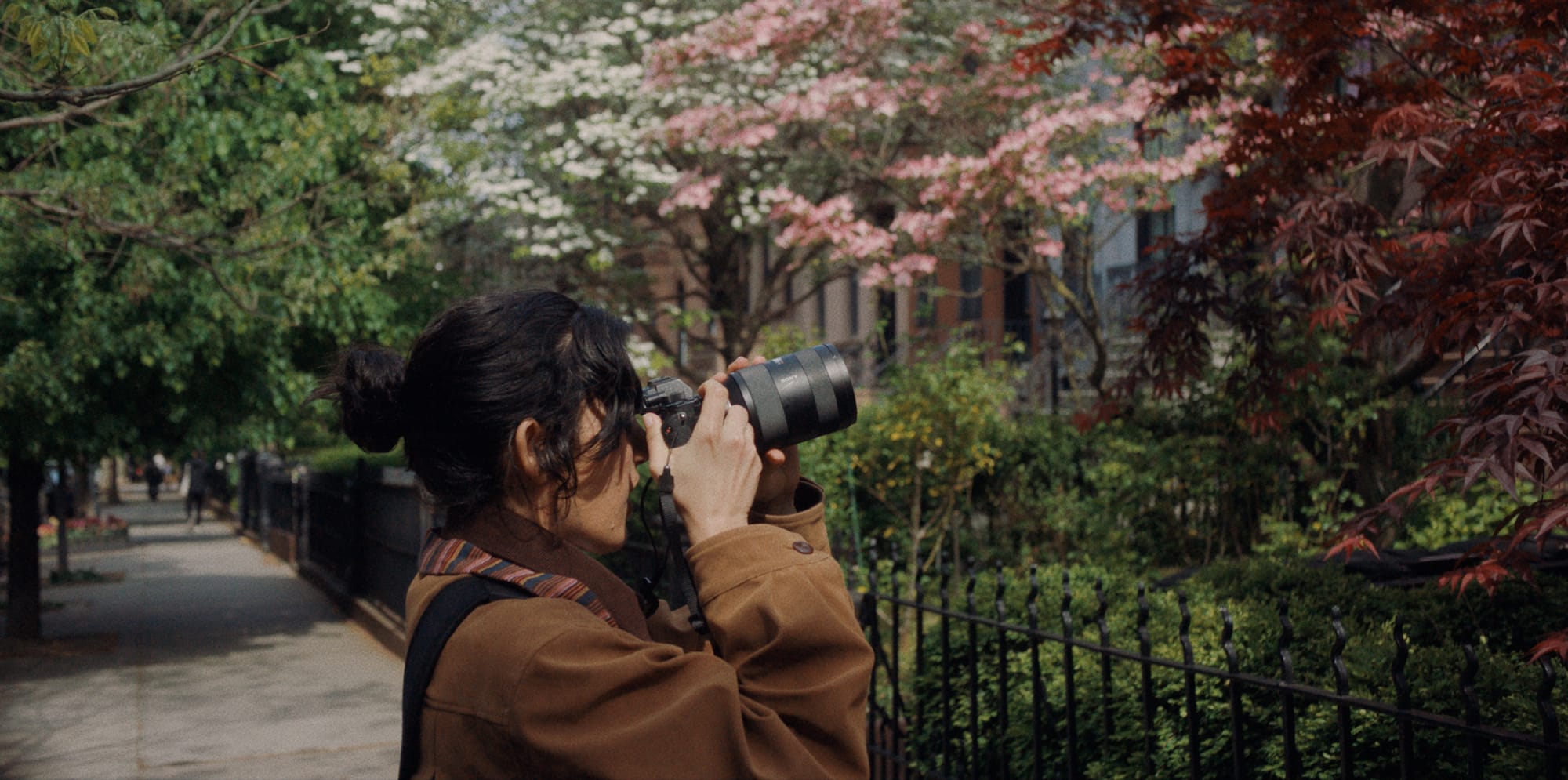 Person hold a camera to their face, point right, surrounded by foliage of street trees. Still from the movie THE SCOUT