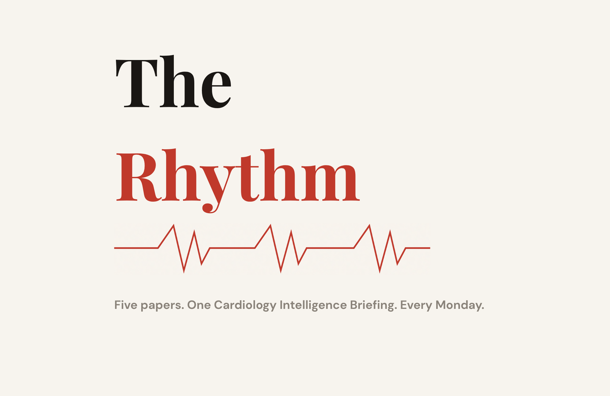 The Rhythm | Issue 3